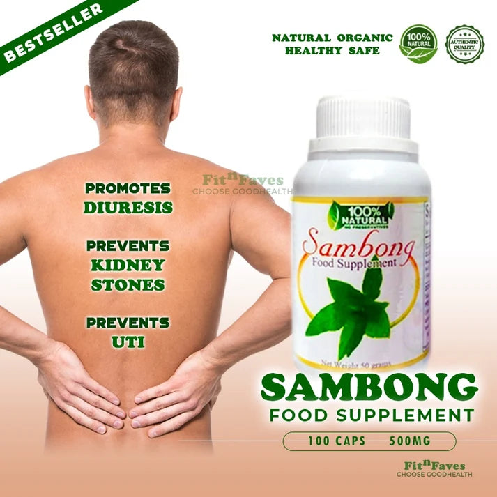 Sambong Capsule Natural Herbs 100pcs