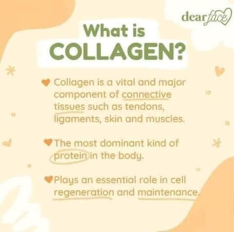 Dear Face Beauty Milk Melon Drink Collagen