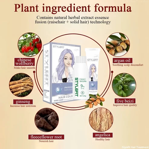 STYLEFIT Ash Gray-01 Hair Color（100ml Hair Dye + 100ml Oxidant）