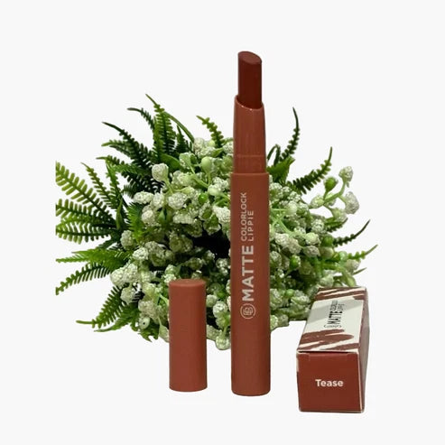 Ever Bilena Matte Colorlock Lippie - Tease 2.2g